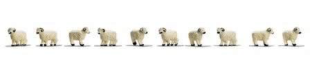 Hornby: OO Gauge: Sheep
