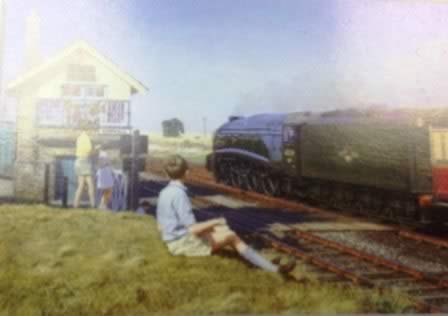 Rothbury: Framed Picture: Streaking Past